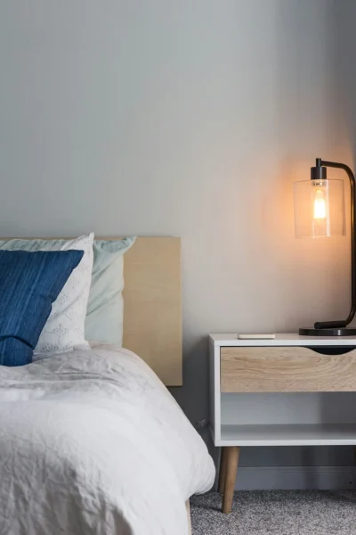 cendilier light fixer